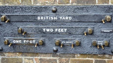 yard-2761156728_7d1799a333_b-edited