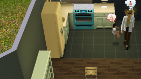 sims-3623561634_e68cfd793a_o-edited