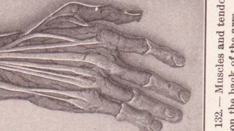 3995211331_4f3461e83e_o-edited