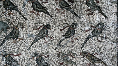 349491600_77c31971a1_z-edited