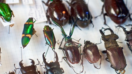 2489619858_9b55cdb4ed_z-edited