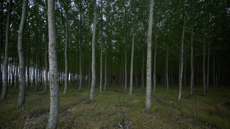 4608853361_16a7a249a9_z-edited